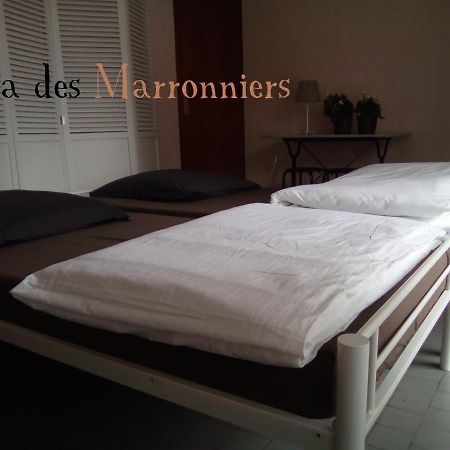 Villa Des Marronniers Mirande  Kültér fotó